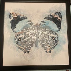 Two butterfly framed wall art